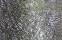 Nimmer fibreglass roof work